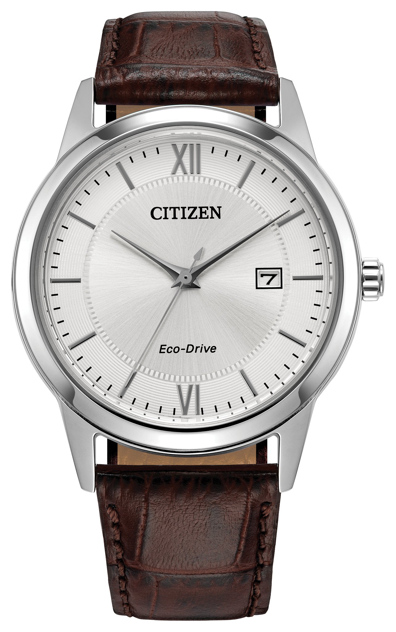Citizen quartz / Eco-Drive style set-forget travel companion